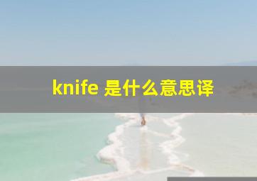 knife 是什么意思译